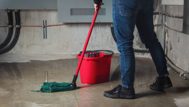 Best Local water damage restoration  in Valencia West, AZ