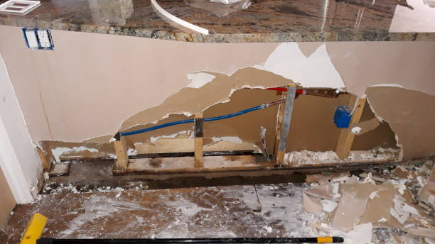 Best Water damage cleanup near me  in Valencia West, AZ