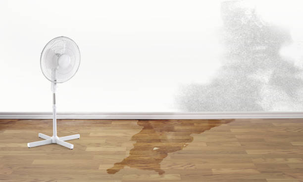 Best 24/7 water damage repair  in Valencia West, AZ
