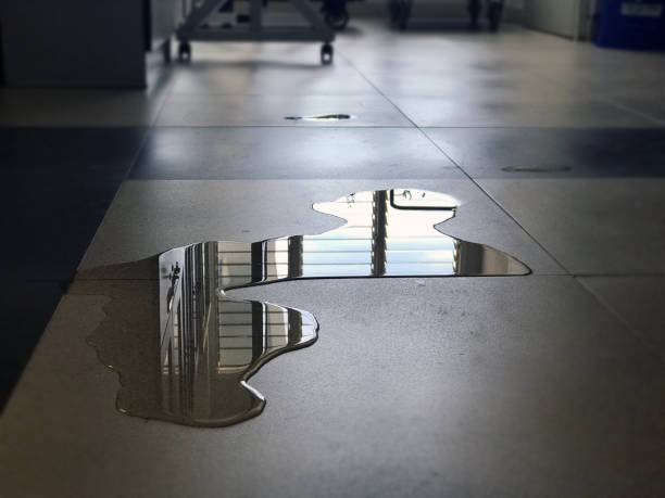 Best Professional water damage repair  in Valencia West, AZ