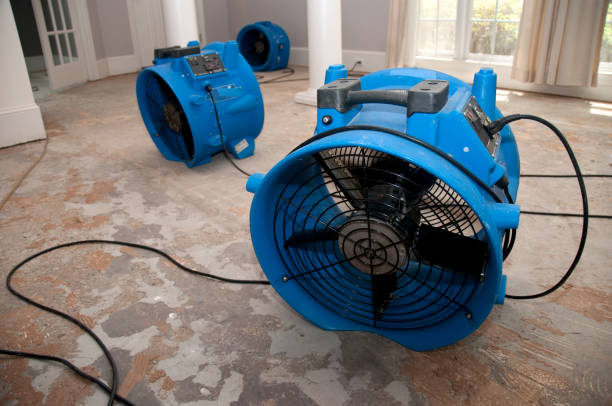 Best Water damage restoration near me  in Valencia West, AZ