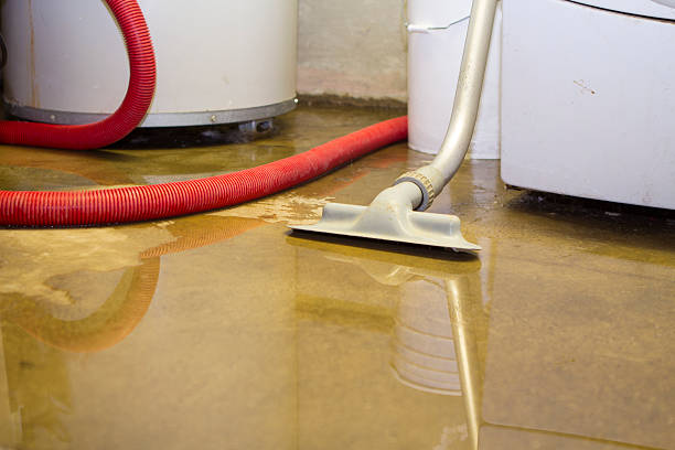 Best Ceiling water damage repair  in Valencia West, AZ