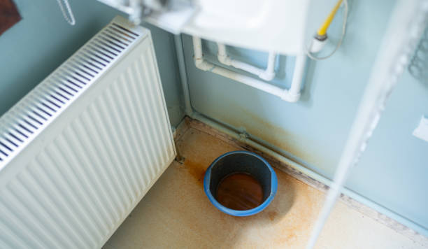 Best Water damage cleanup near me  in Valencia West, AZ