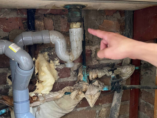 Best Professional water damage repair  in Valencia West, AZ